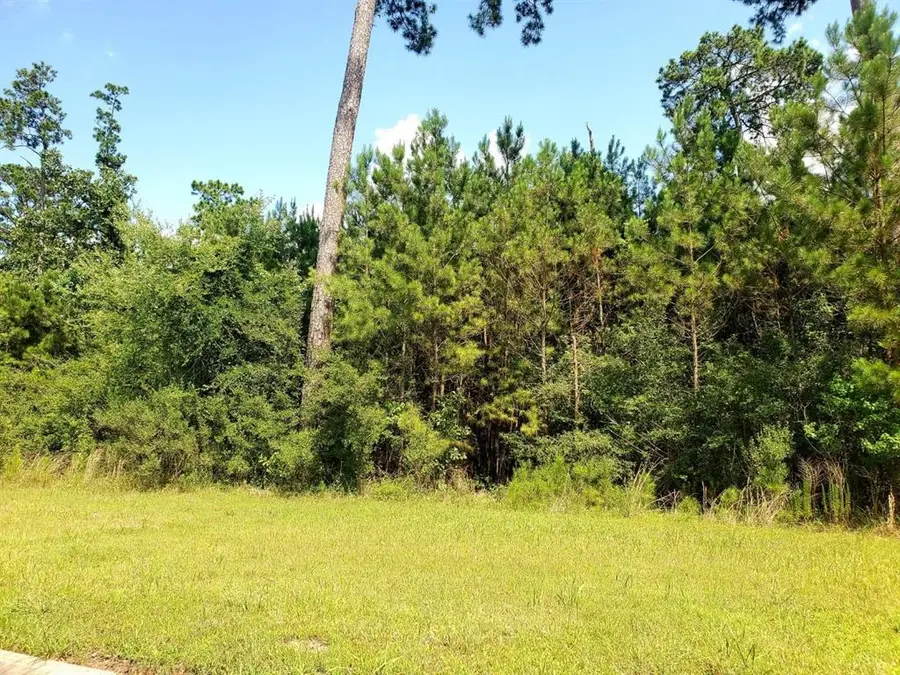 113 Kings Lake Estates Boulevard, Humble, TX 77346 - #2