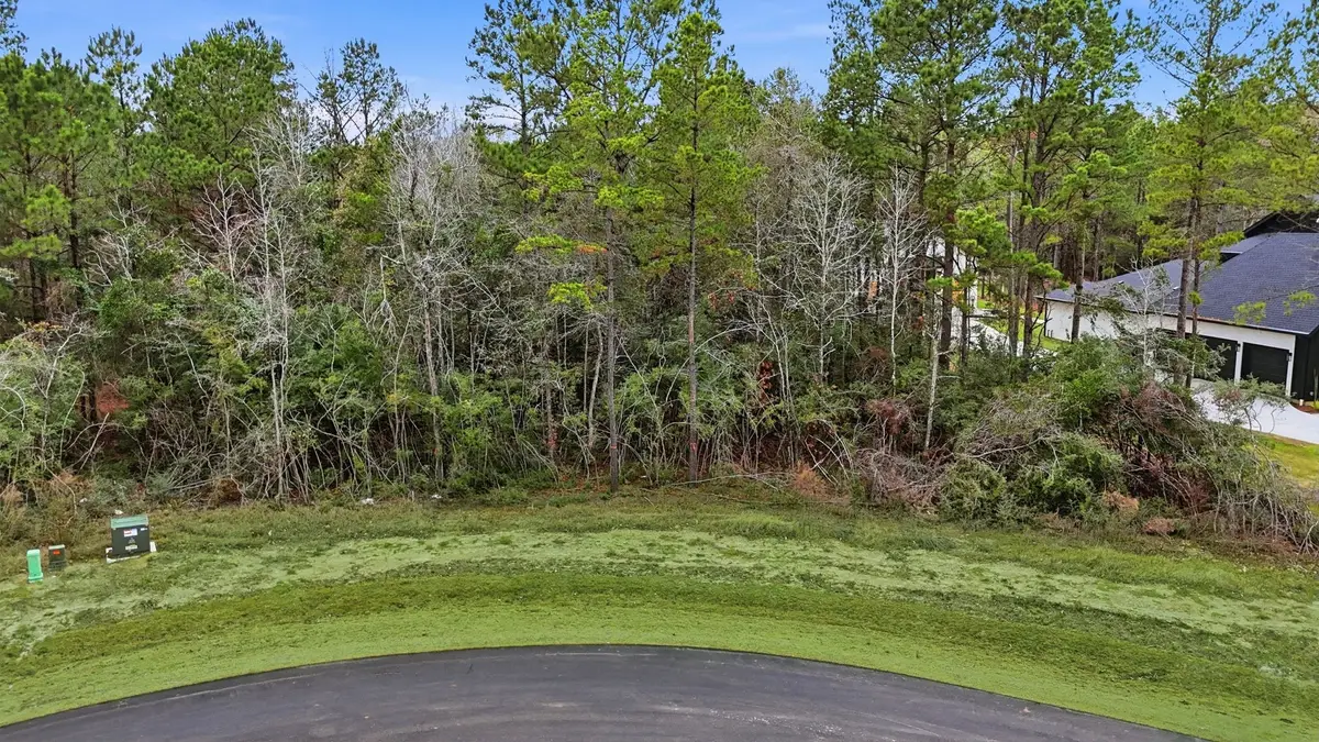 25139 Balmorhea Way, Montgomery, TX 77316 - Image #1