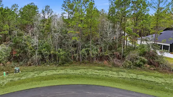 25139 Balmorhea Way, Montgomery, TX 77316