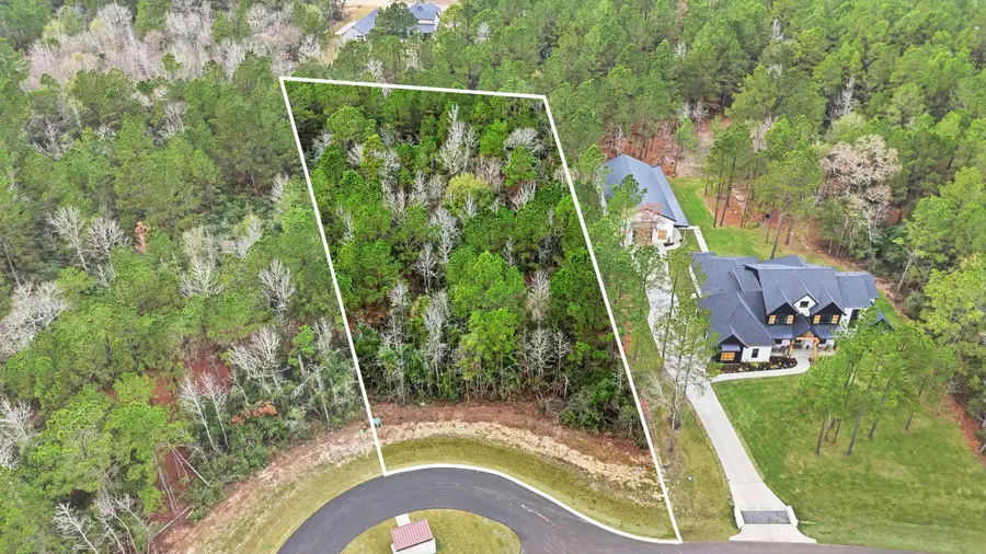 25139 Balmorhea Way, Montgomery, TX 77316 - Image #2