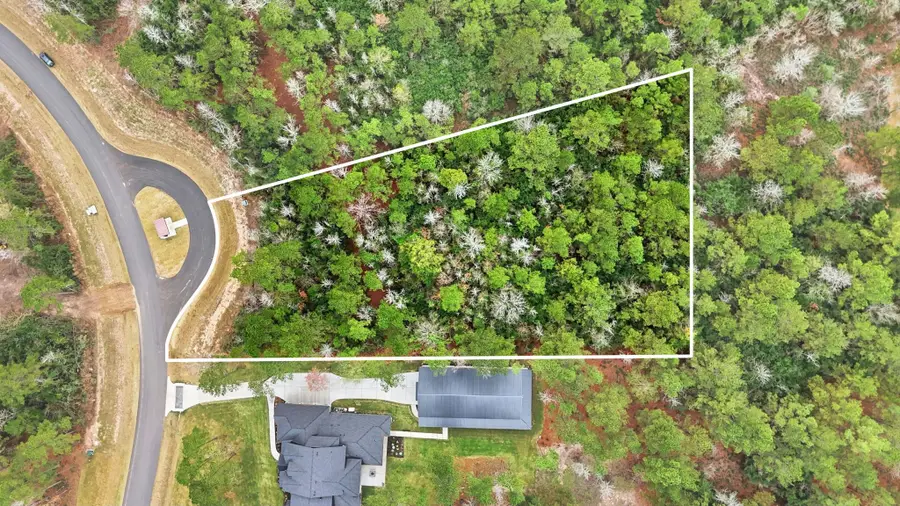 25139 Balmorhea Way, Montgomery, TX 77316 - Image #3