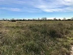 LOT 4 1293 Mc Donald Road, Eagle Lake, TX 77434 - #1
