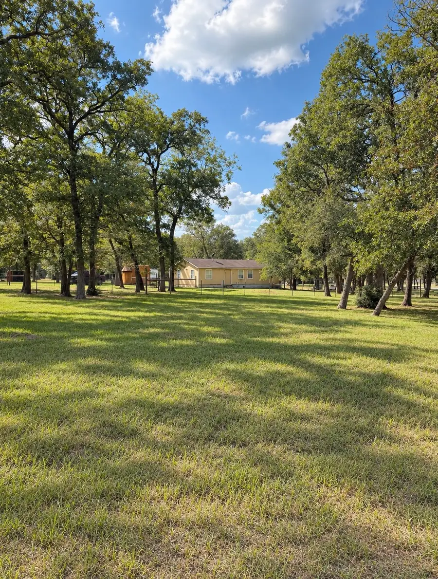 1343 Rocky Lane, Bedias, TX 77831 - #2