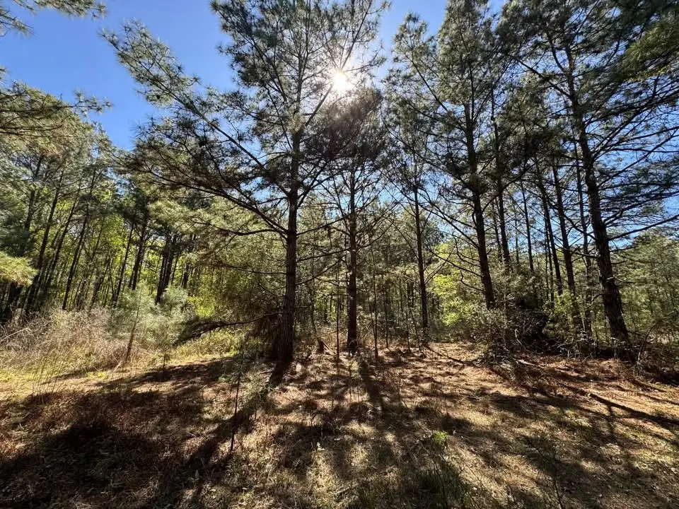 341 County Road 3891 S, Cleveland, TX 77328 - Image #1