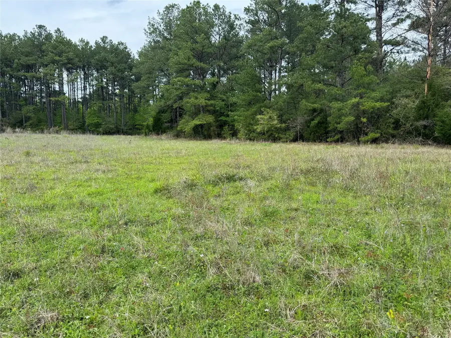 10586 Holland Rd, Kountze, TX 77625 - #3