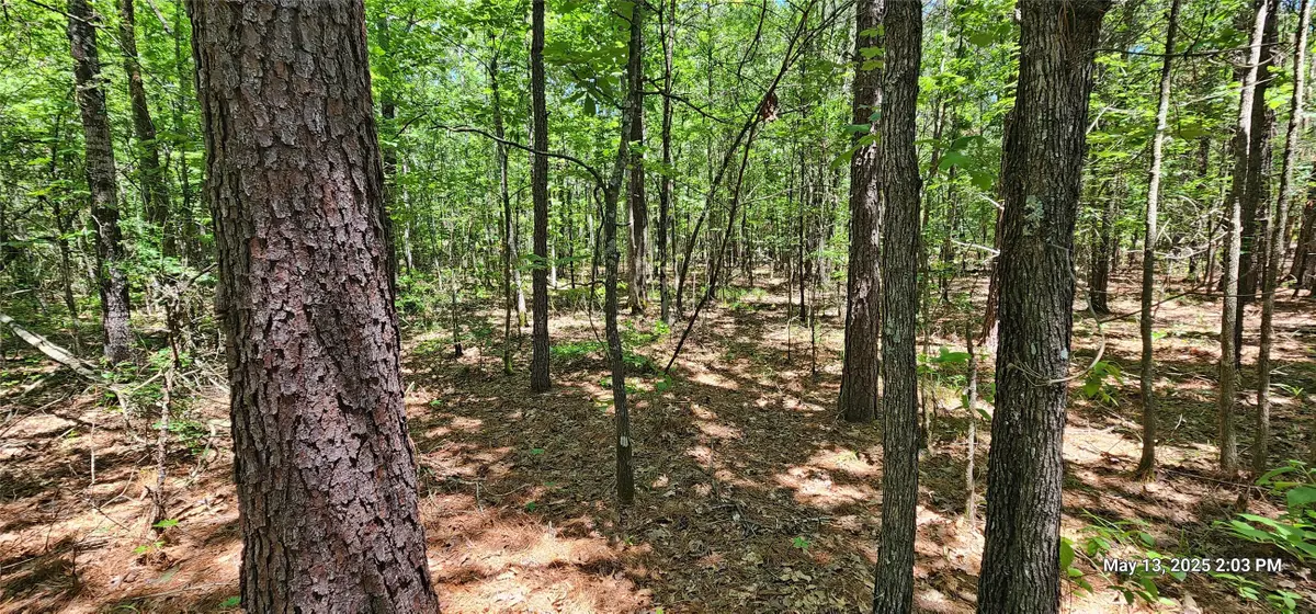 TBD Cr 3233 E, Clarksville, TX 75426 - Image #1