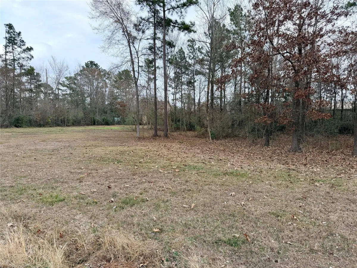 TBD Shelter Lane, Livingston, TX 77351 - #1