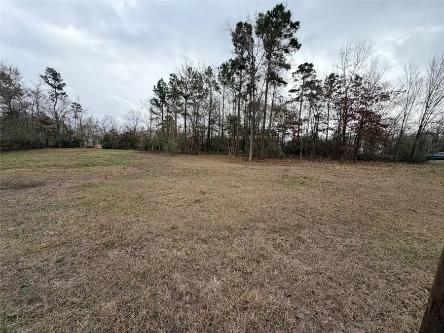 TBD Shelter Lane, Livingston, TX 77351 - #3