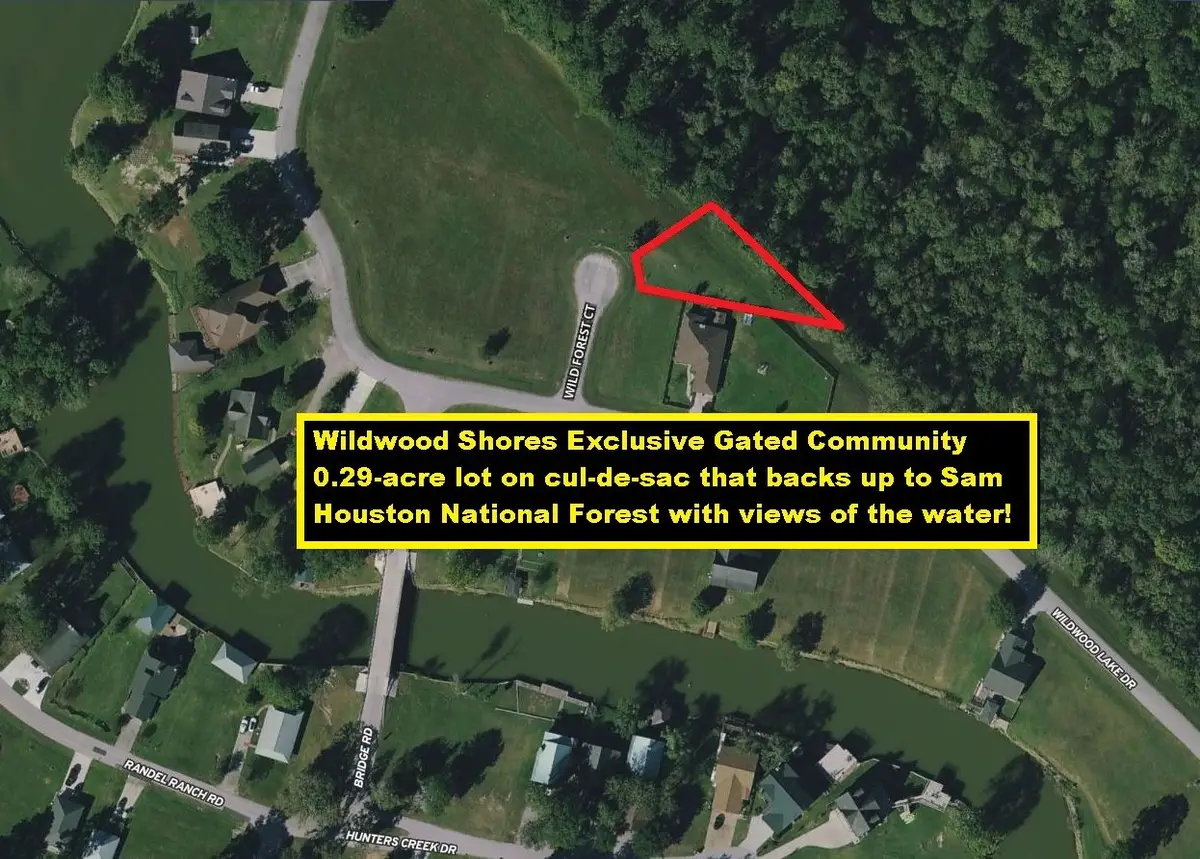 4 Wild Forest Court, Huntsville, TX 77340 - #1