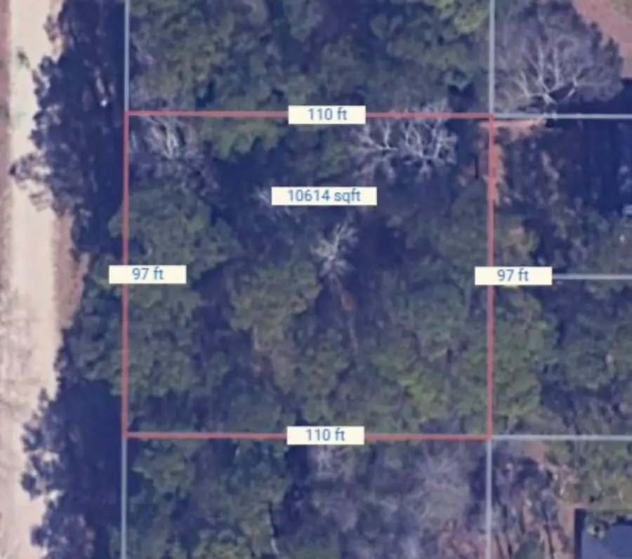 0 Walnut Drive, Montgomery, TX 77356 - Image #2