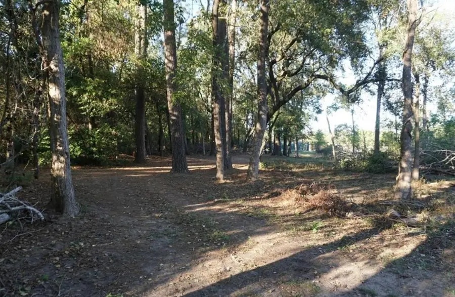 424 S Avenue D, Humble, TX 77338 - #3