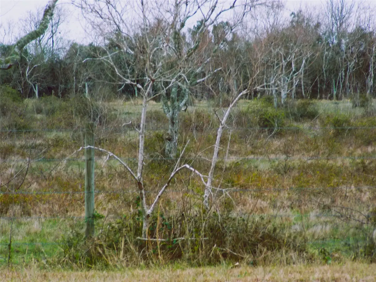 00 Fm-2004, Angleton, TX 77515 - Image #1