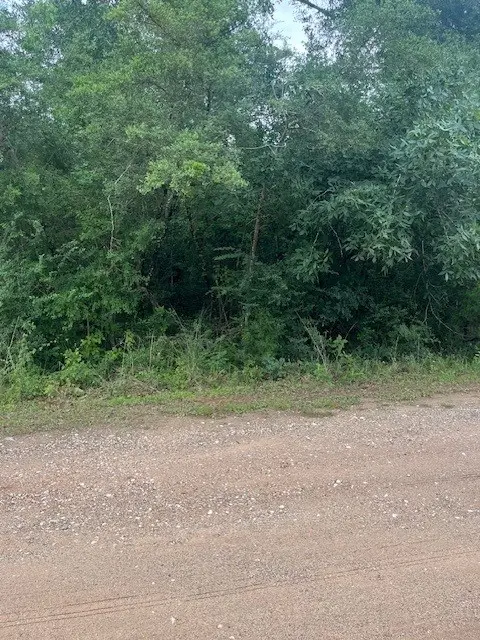 0 Deerwood Drive, Hempstead, TX 77445