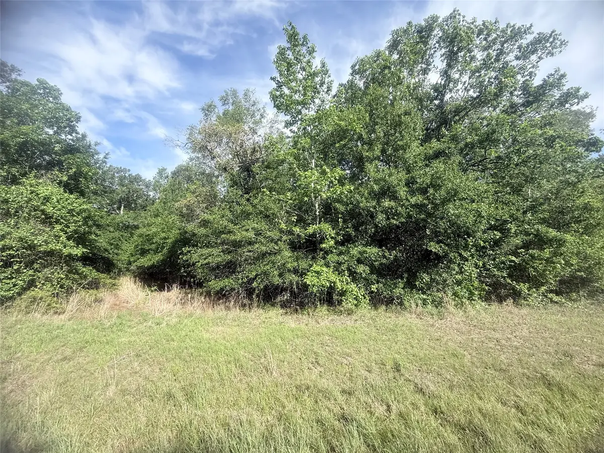 21203 Grant Lake Circle, Cleveland, TX 77328 - #1