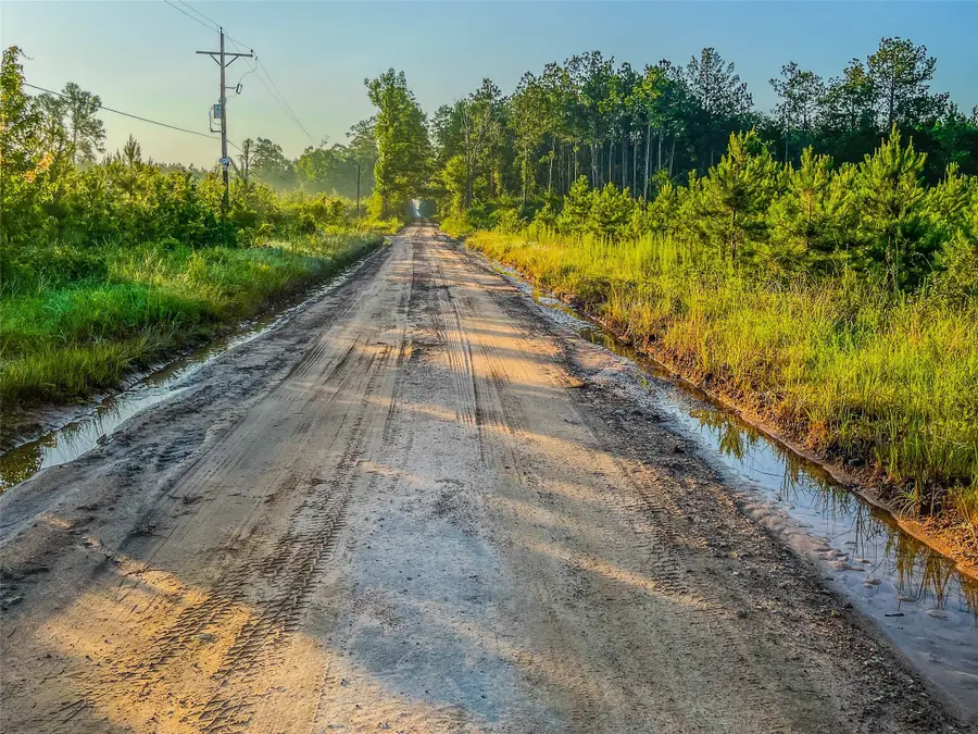 TBD Cr 1450, Warren, TX 77664 - Image #2