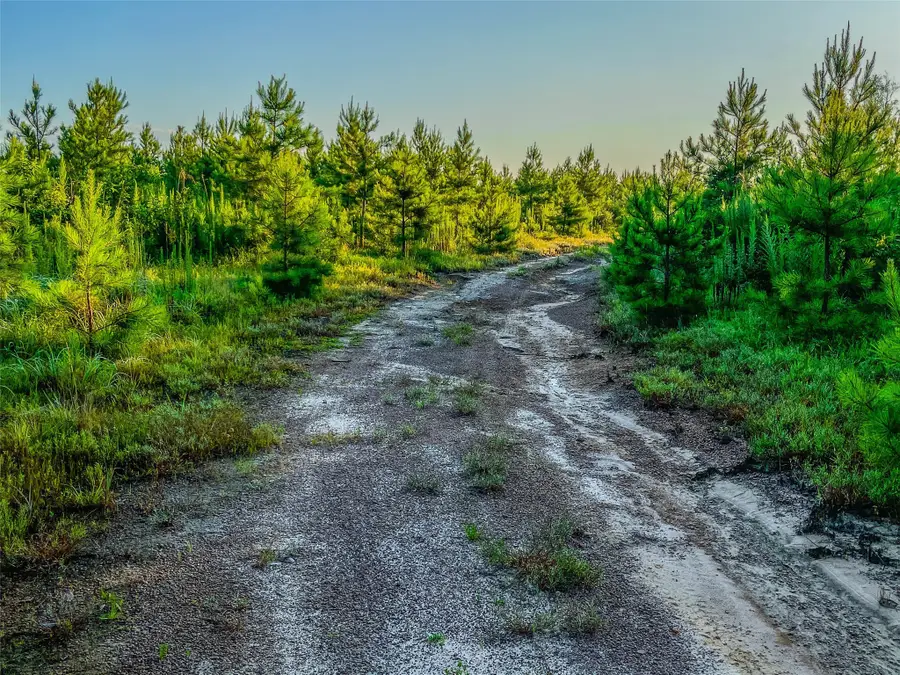 TBD Cr 1450, Warren, TX 77664 - Image #3