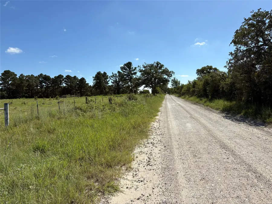 14393 County Road 228, Bedias, TX 77831 - Image #3