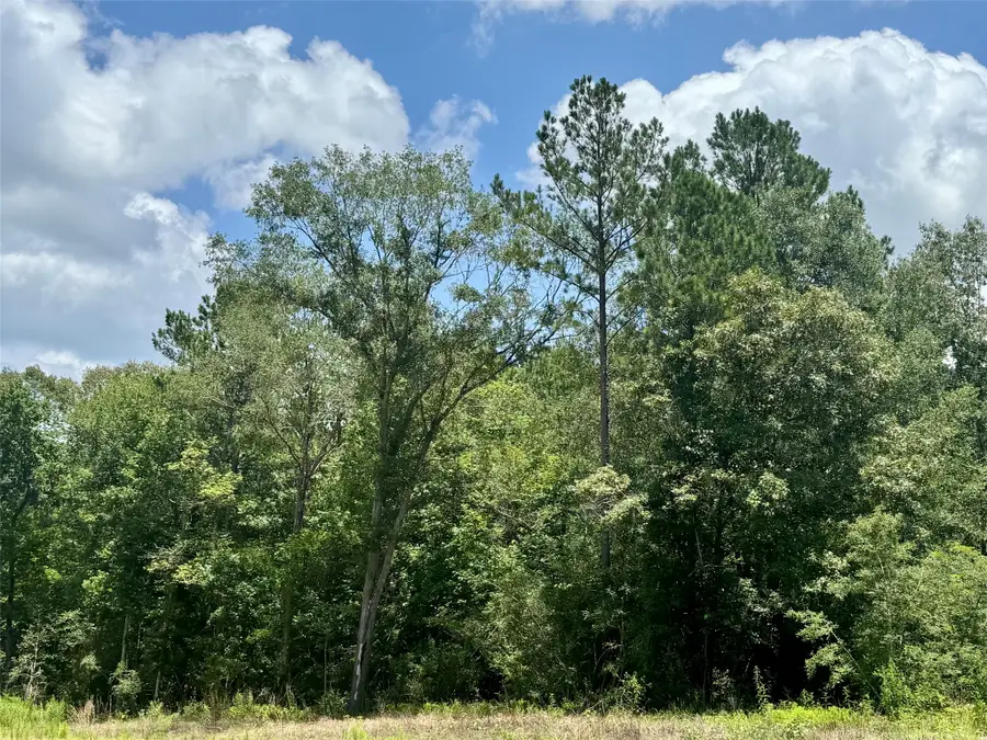 Lot 15 Riverstone Drive, Livingston, TX 77351 - #3