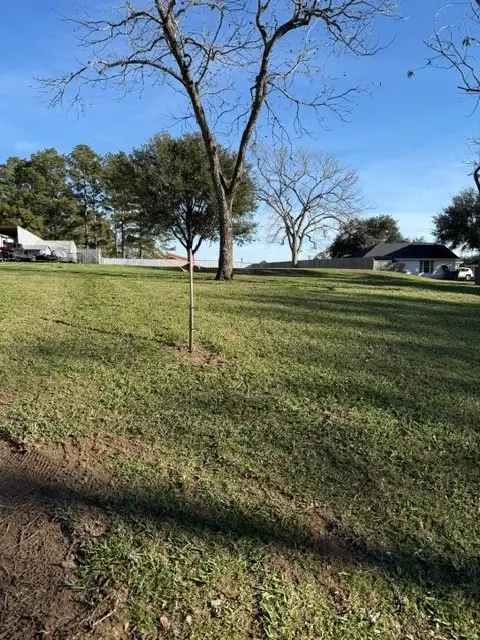 731 S Tesch, Bellville, TX 77418 - #2