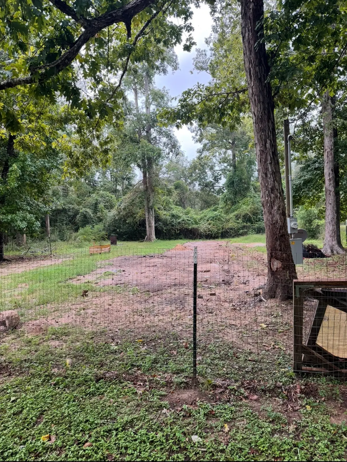 71 Pine Lane, Shepherd, TX 77371 - #1