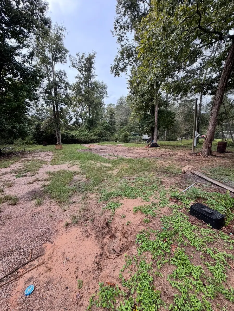 71 Pine Lane, Shepherd, TX 77371 - #2