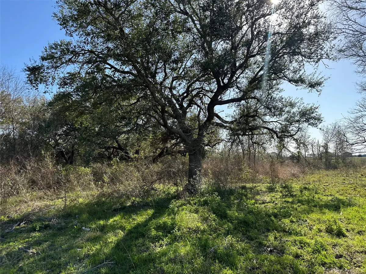 1E - 5E County Road 206 Drive, Sargent, TX 77414 - Image #1