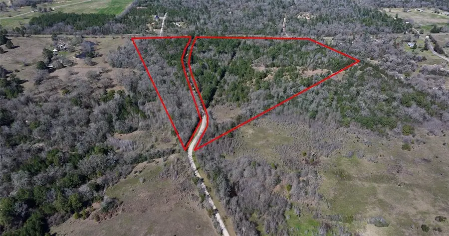 0000 Palmetto Road, Trinity, TX 75862 - #3