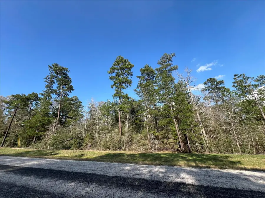 3-17-3B Winchester Road, Huntsville, TX 77340 - #2