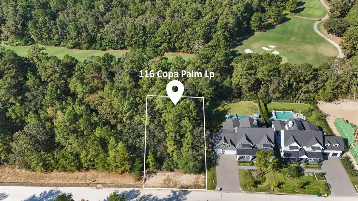 116 W Copa Palm Loop, Montgomery, TX 77316 - Image #1