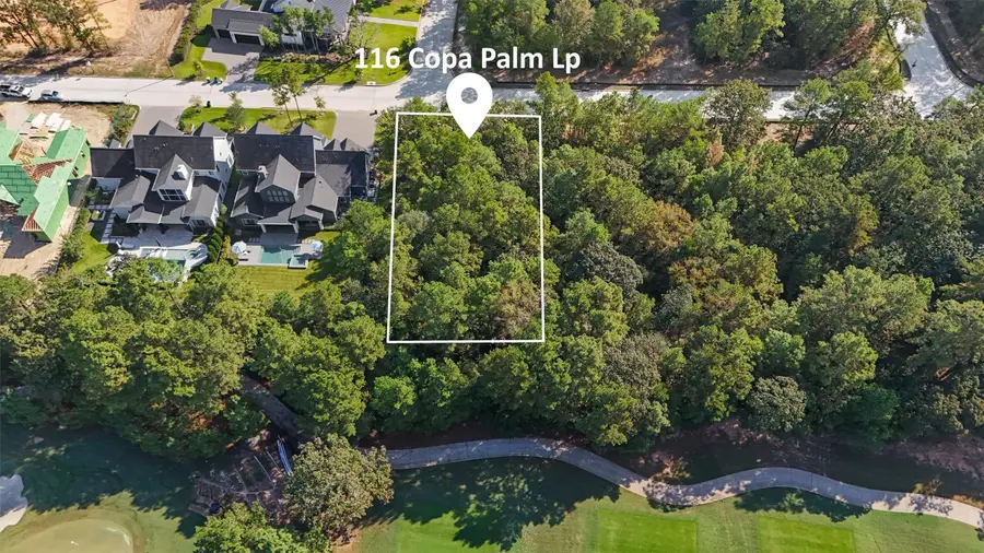 116 W Copa Palm Loop, Montgomery, TX 77316 - Image #2