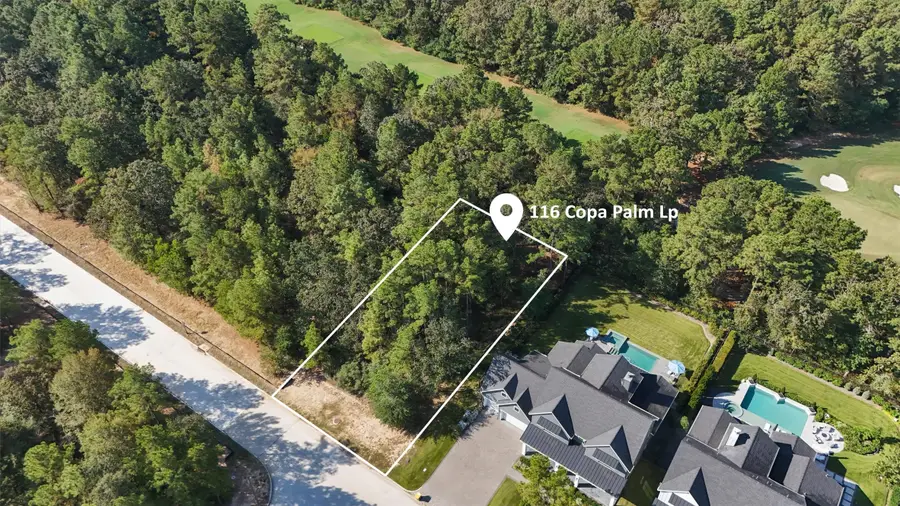 116 W Copa Palm Loop, Montgomery, TX 77316 - Image #3