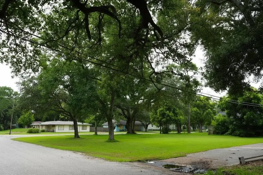 2606 N Houston Drive, La Marque, TX 77568 - #3