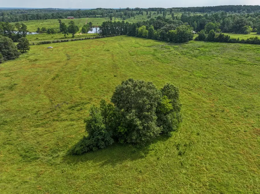 02 Fm 2867, Henderson, TX 75654 - Image #3