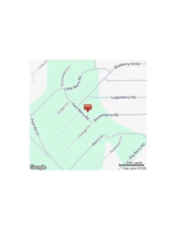 345 Dew Berry Rd, Somerville, TX 77879 - #3