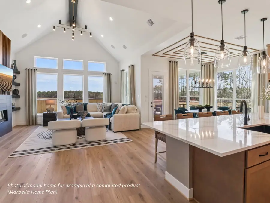 16843 Deep Wingbeat Way, Magnolia, TX 77354 - #2