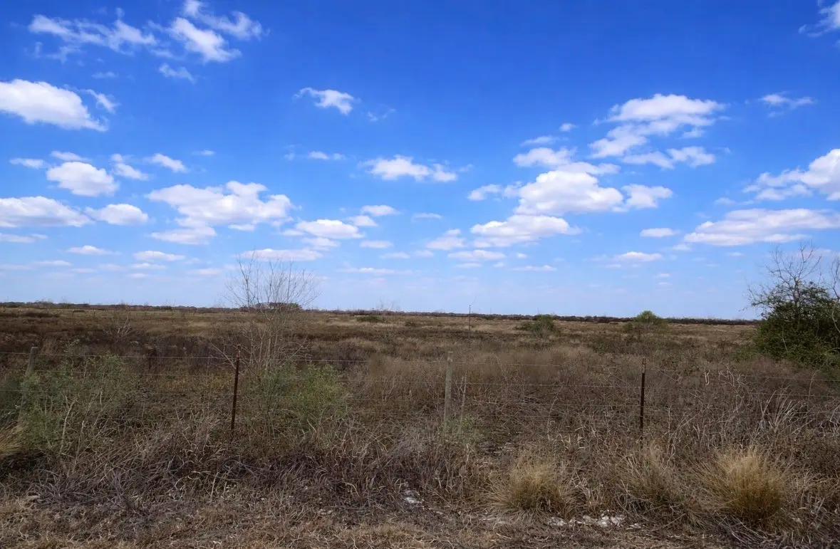 0 Kemp Road, Needville, TX 77461 - #1