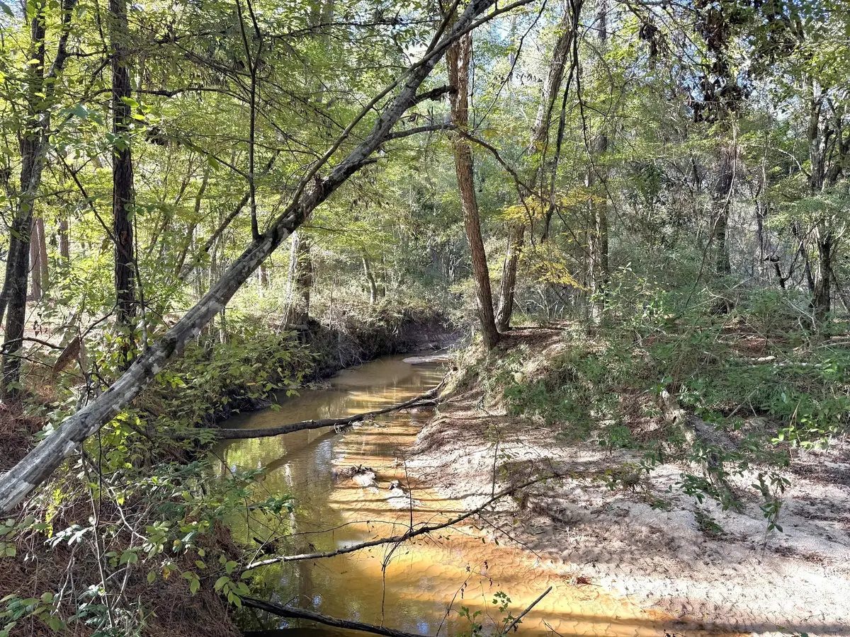 2080 County Road 1100, Woodville, TX 75979 - Image #1