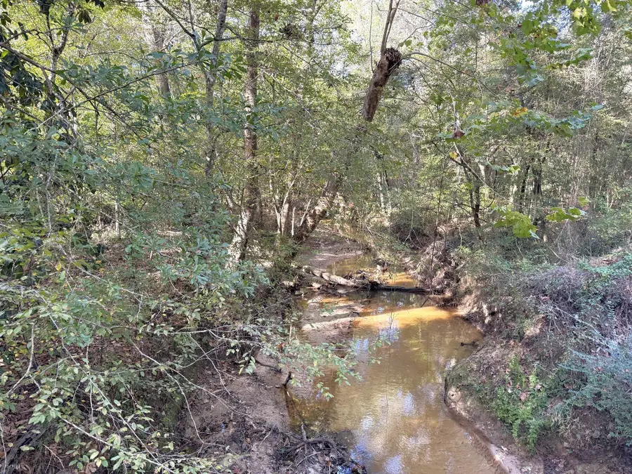 2080 County Road 1100, Woodville, TX 75979 - Image #3