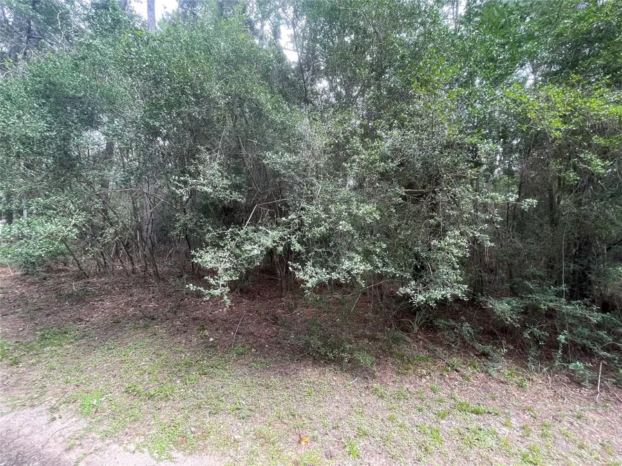 0 Corolla Road, Magnolia, TX 77354 - Image #2