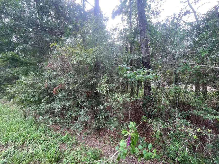 0 Corolla Road, Magnolia, TX 77354 - Image #3