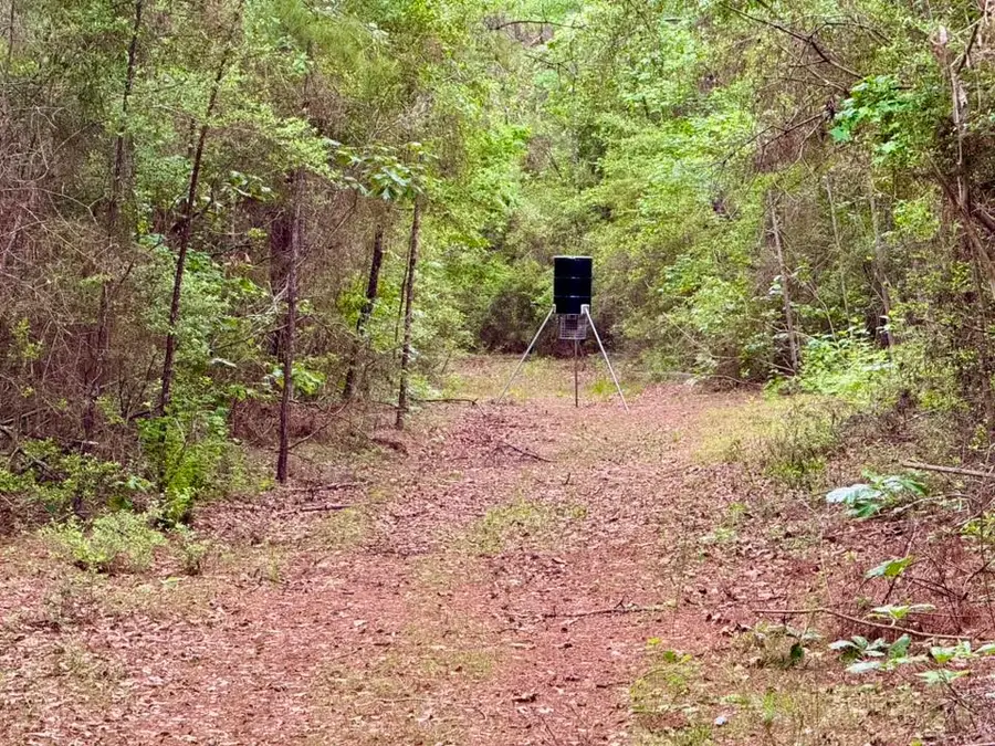 17 Acres Cr 1375, Warren, TX 77664 - #2