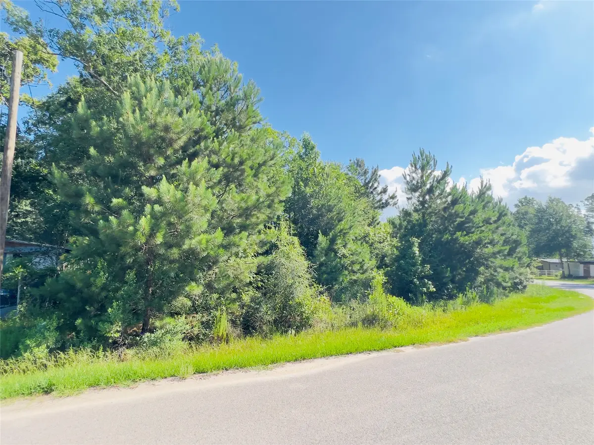 971 County Road 3415, Cleveland, TX 77327 - #1