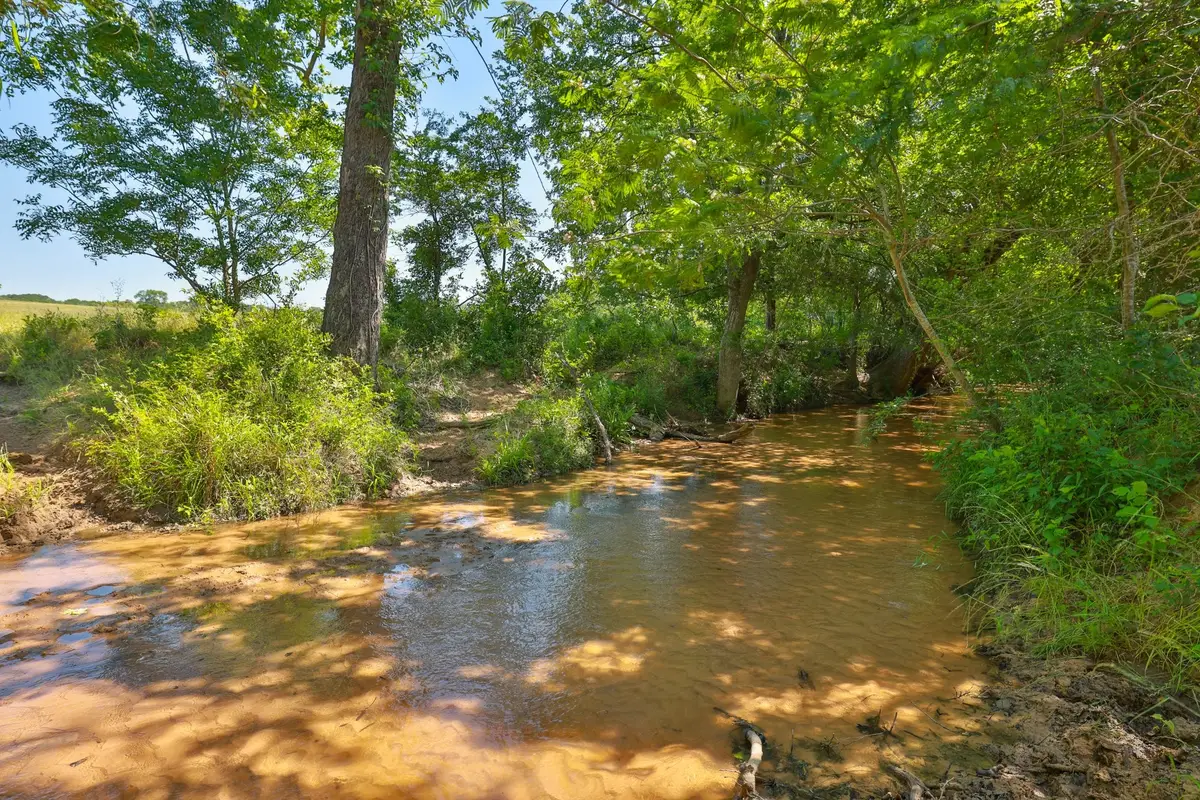 Tract #10 Cr 305 Road, Navasota, TX 77868 - #1