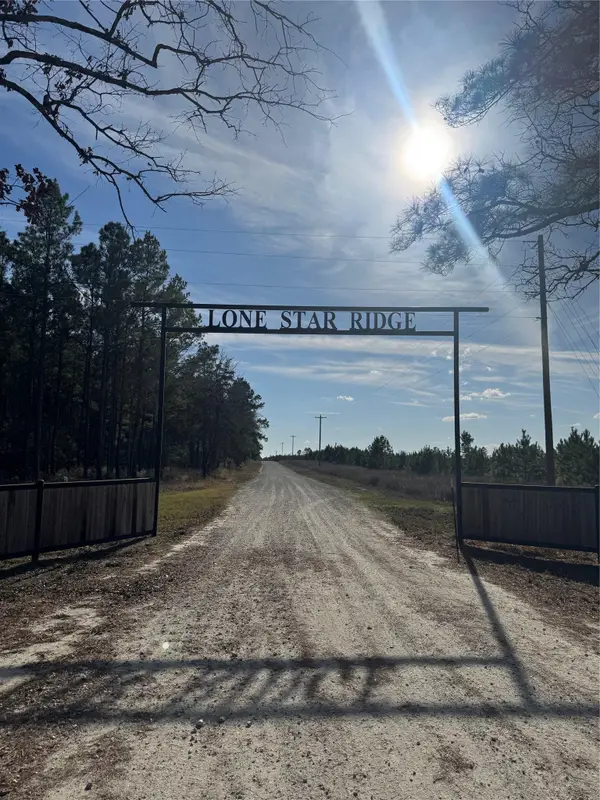 Lots 35 & 36 Brazos Pass, Lovelady, TX 75851