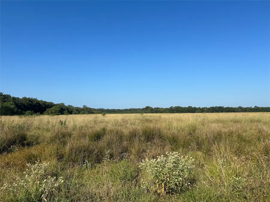 Lot 61 Minnie West Drive, Hull, TX 77564 - Image #2
