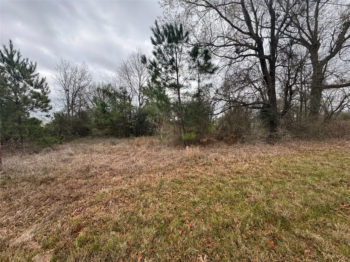 TBD Fm 980 S, Point Blank, TX 77364 - #1