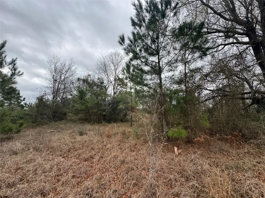 TBD Fm 980 S, Point Blank, TX 77364 - #2