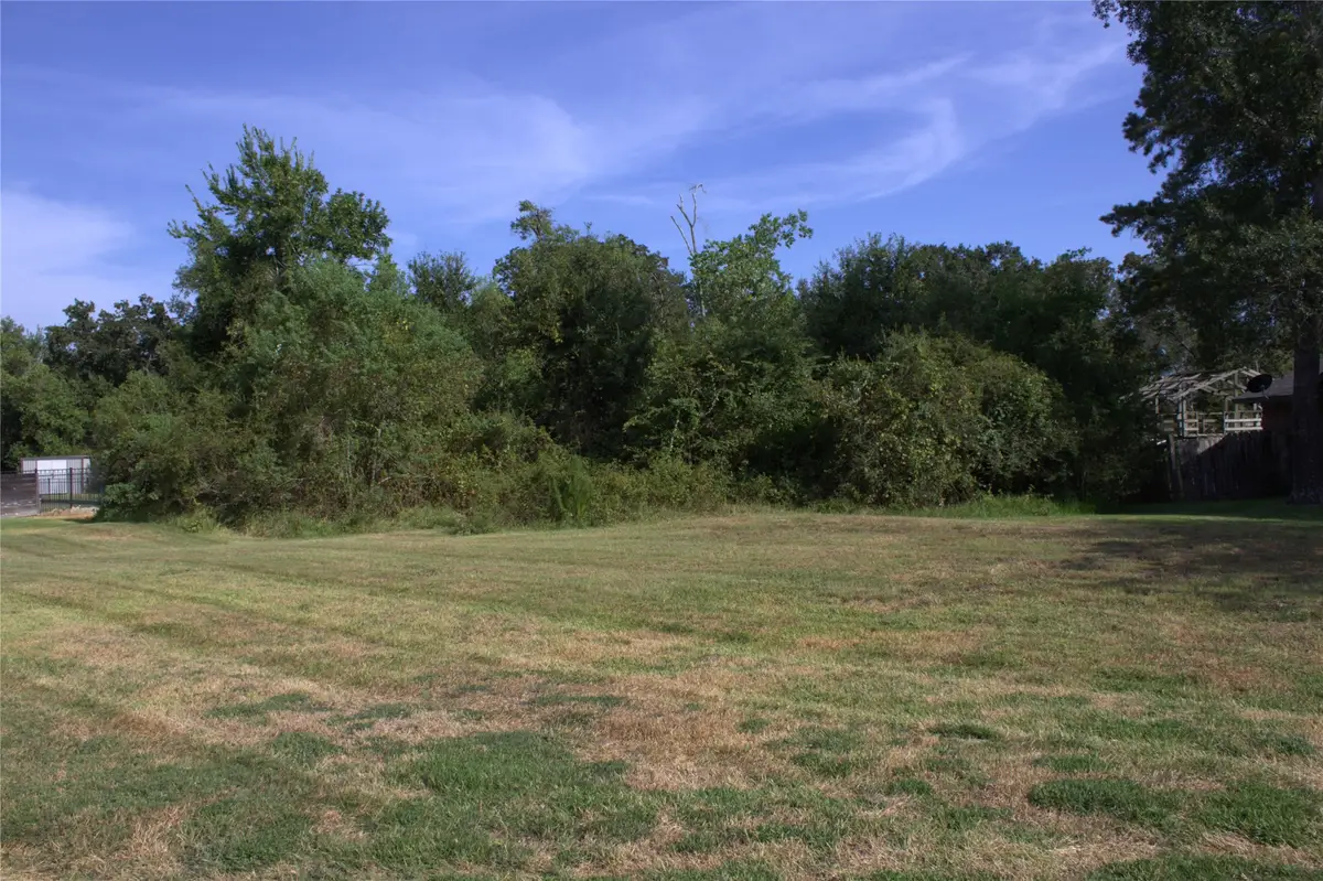 209 Briarwood Drive, Bellville, TX 77418 - #1