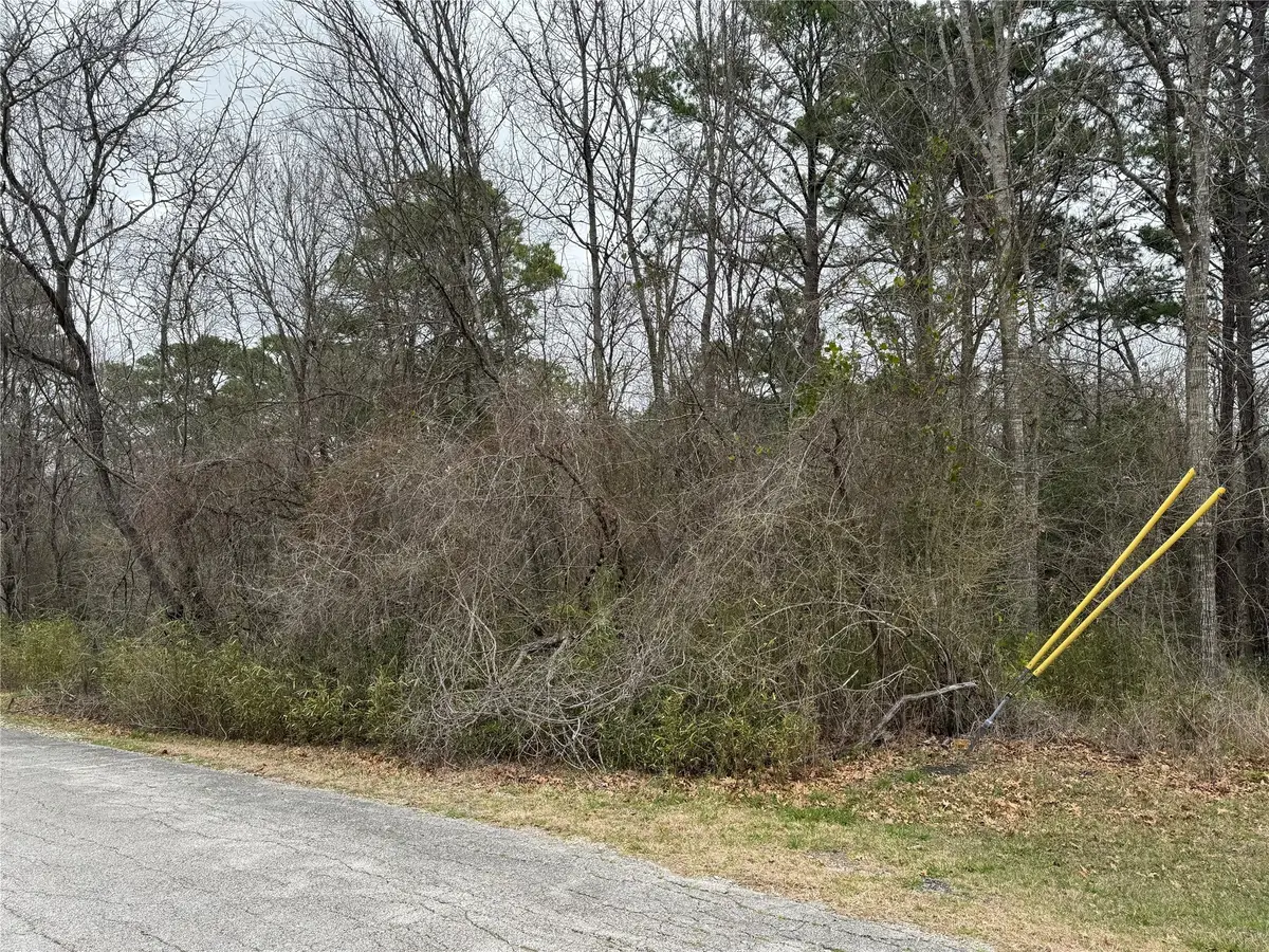 2 Clearwater Circle, Coldspring, TX 77331 - Image #1