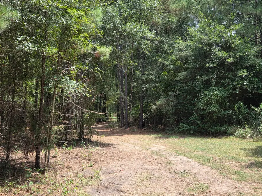 11.5 Acres Johnson Road, Montgomery, TX 77356 - Image #2